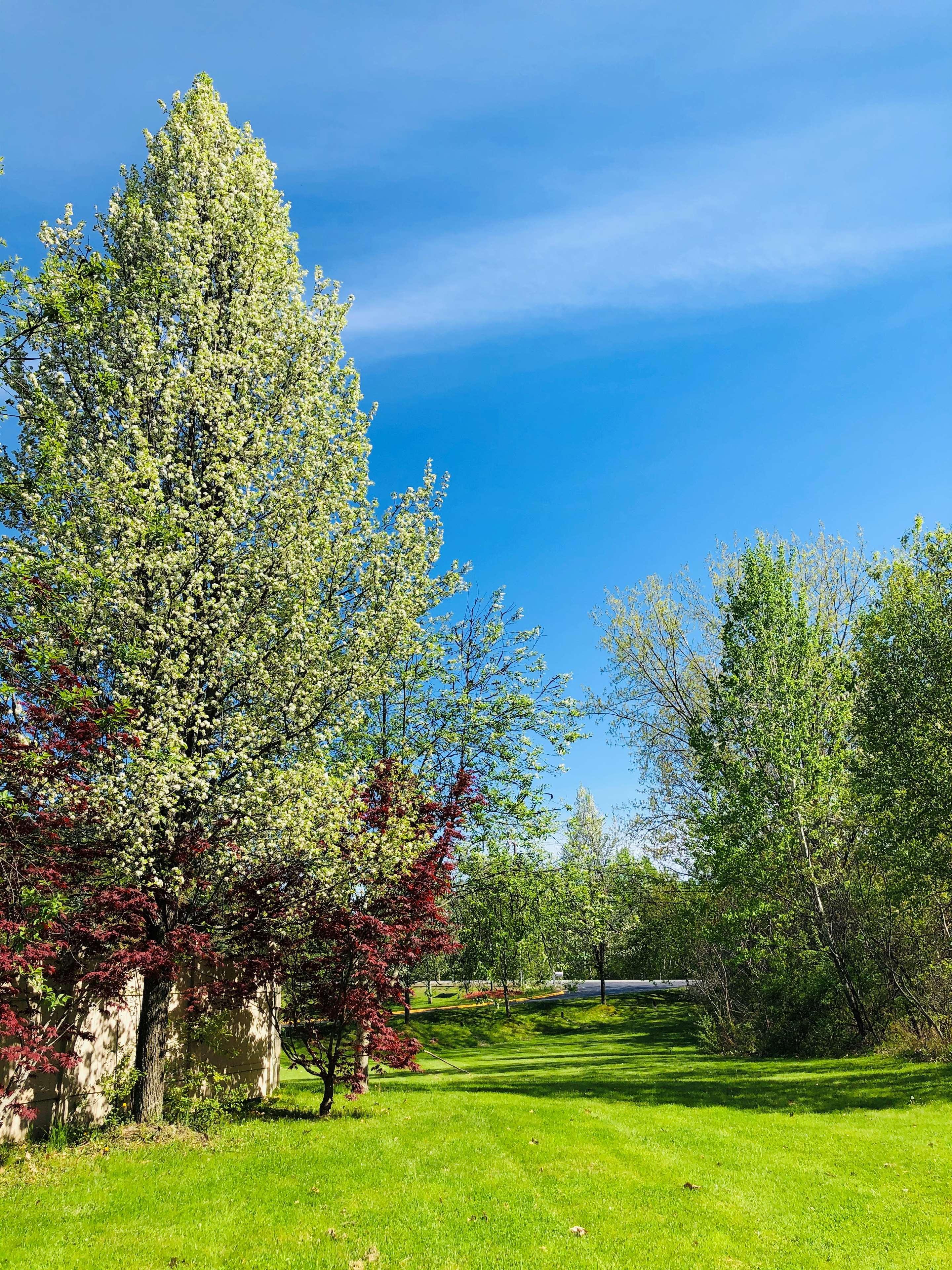 Best Western West Lebanon-Hanover Exterior photo